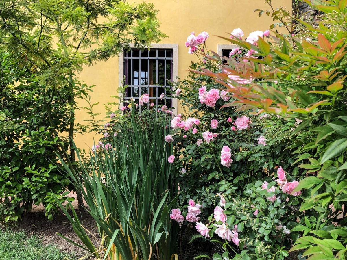 B&B Bagolari Villaganzerla Extérieur photo